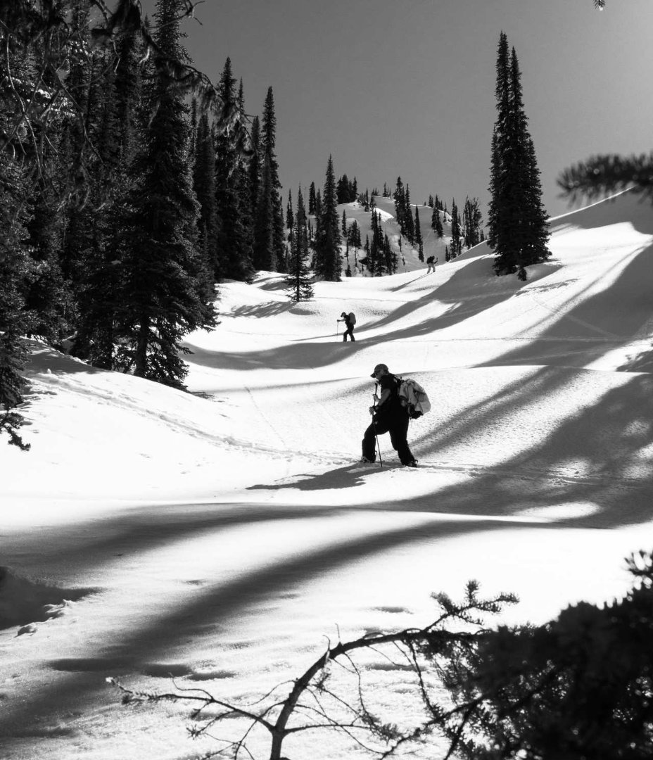 CMH Heliskiing Erfahrung Die Kombination Heliskiing und Skitouring