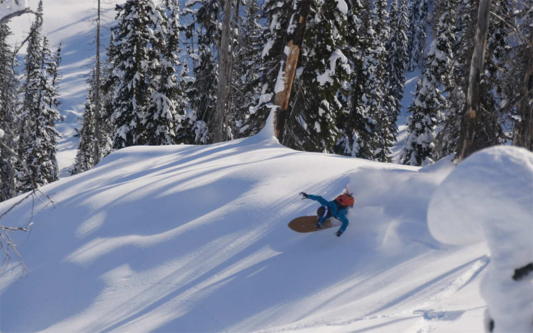 CMH Heliskiing Erfahrung GALENA TREE RUNS 